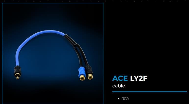 RCA cable with blue and black connectors.