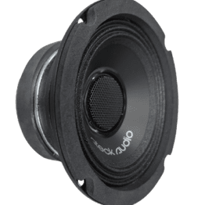 Speaker driver with black rim and mesh.