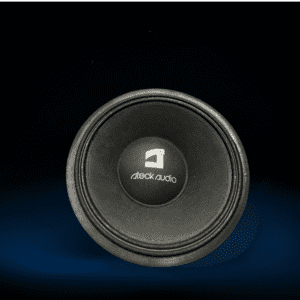 Steck Audio subwoofer on a dark background.