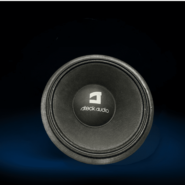 Steck Audio subwoofer on a dark background.